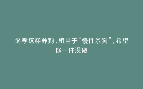 冬季这样养狗，相当于“慢性杀狗”，希望你一件没做！