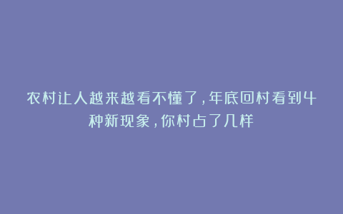 农村让人越来越看不懂了，年底回村看到4种新现象，你村占了几样？