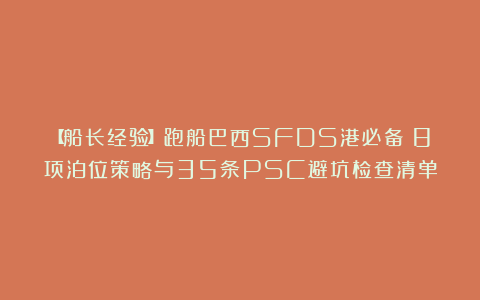【船长经验】跑船巴西SFDS港必备：8项泊位策略与35条PSC避坑检查清单