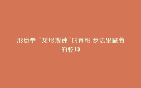 形意拳‍“龙形搜骨”的真相：步法里藏着的乾坤