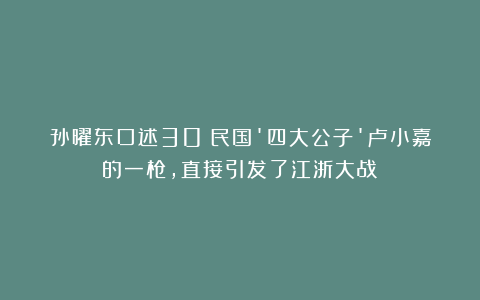 孙曜东口述30：民国’四大公子’卢小嘉的一枪，直接引发了江浙大战