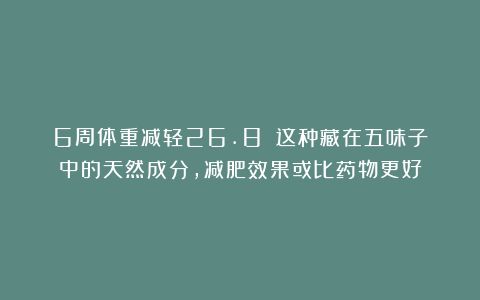 6周体重减轻26.8%！这种藏在五味子中的天然成分，减肥效果或比药物更好