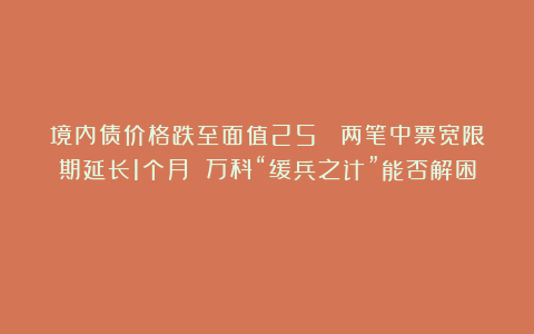 境内债价格跌至面值25% 两笔中票宽限期延长1个月 万科“缓兵之计”能否解困？