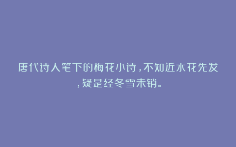唐代诗人笔下的梅花小诗，不知近水花先发，疑是经冬雪未销。