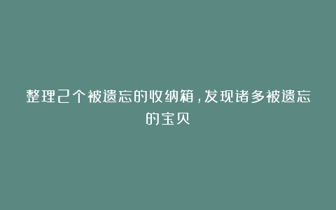 整理2个被遗忘的收纳箱，发现诸多被遗忘的宝贝