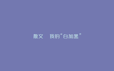 散文|| 我的“白加黑”