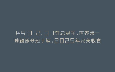 乒乓|3-2、3-1夺总冠军，世界第一孙颖莎夺冠手软，2025年完美收官