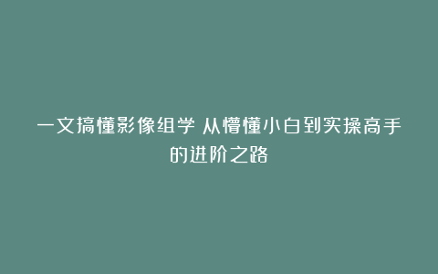 一文搞懂影像组学：从懵懂小白到实操高手的进阶之路
