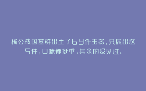 杨公战国墓群出土了69件玉器，只展出这5件，口味都挺重，其余的没见过。