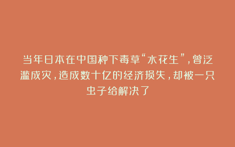当年日本在中国种下毒草“水花生”，曾泛滥成灾，造成数十亿的经济损失，却被一只虫子给解决了