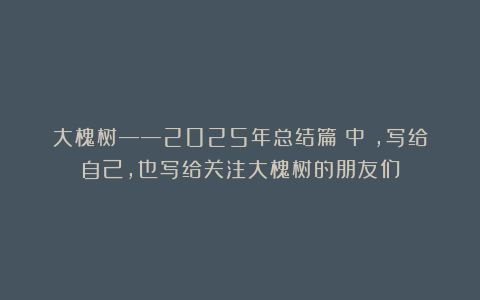 大槐树——2025年总结篇（中），写给自己，也写给关注大槐树的朋友们
