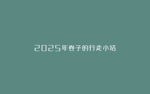 2025年卷子的行走小结