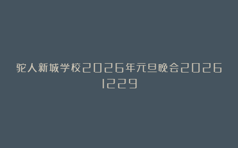 驼人新城学校2026年元旦晚会20261229