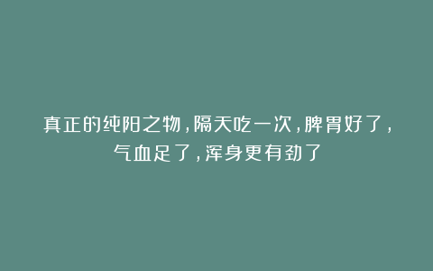 真正的纯阳之物，隔天吃一次，脾胃好了，气血足了，浑身更有劲了