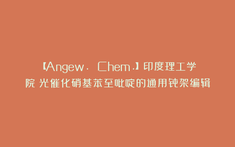 【Angew. Chem.】印度理工学院：光催化硝基苯至吡啶的通用骨架编辑