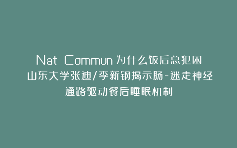 Nat Commun：为什么饭后总犯困？山东大学张迪/李新钢揭示肠-迷走神经通路驱动餐后睡眠机制