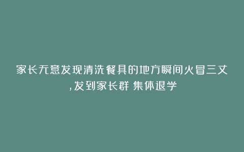 家长无意发现清洗餐具的地方瞬间火冒三丈，发到家长群：集体退学