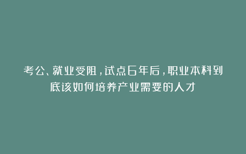 考公、就业受阻，试点6年后，职业本科到底该如何培养产业需要的人才？