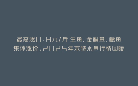 最高涨0.8元/斤！生鱼、金鲳鱼、鳜鱼集体涨价，2025年末特水鱼行情回暖！