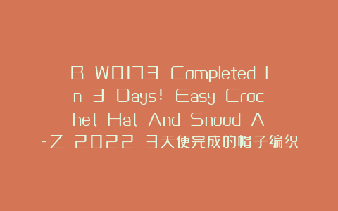 B W0173 Completed In 3 Days! Easy Crochet Hat And Snood A-Z 2022 3天便完成的帽子编织