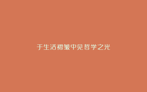 于生活褶皱中见哲学之光