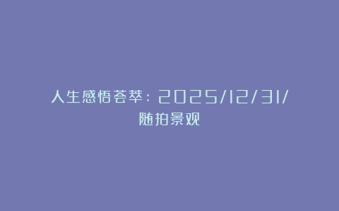人生感悟荟萃:《2025/12/31/随拍景观》