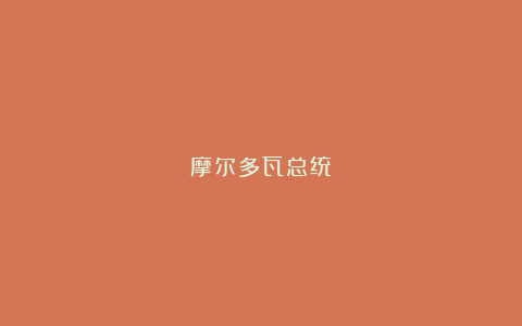 摩尔多瓦总统