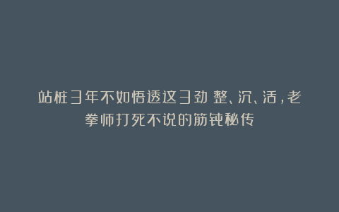 站桩3年不如悟透这3劲？整、沉、活，老拳师打死不说的筋骨秘传！